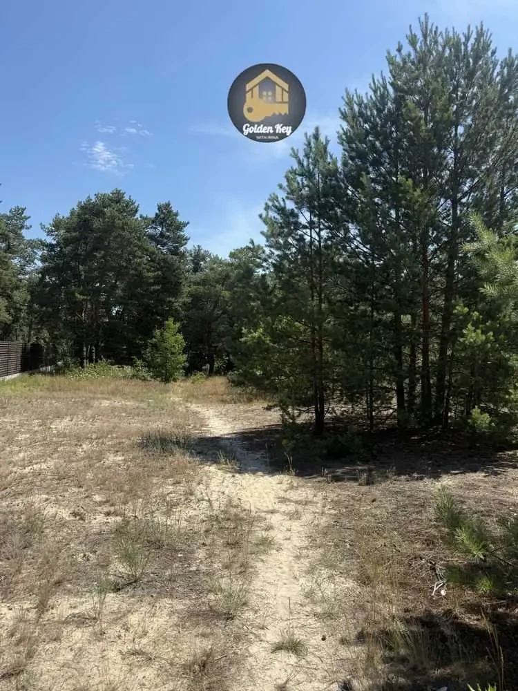 ділянка сільськогосподарського призначення Вишгородський, Хотянівка,.. 14