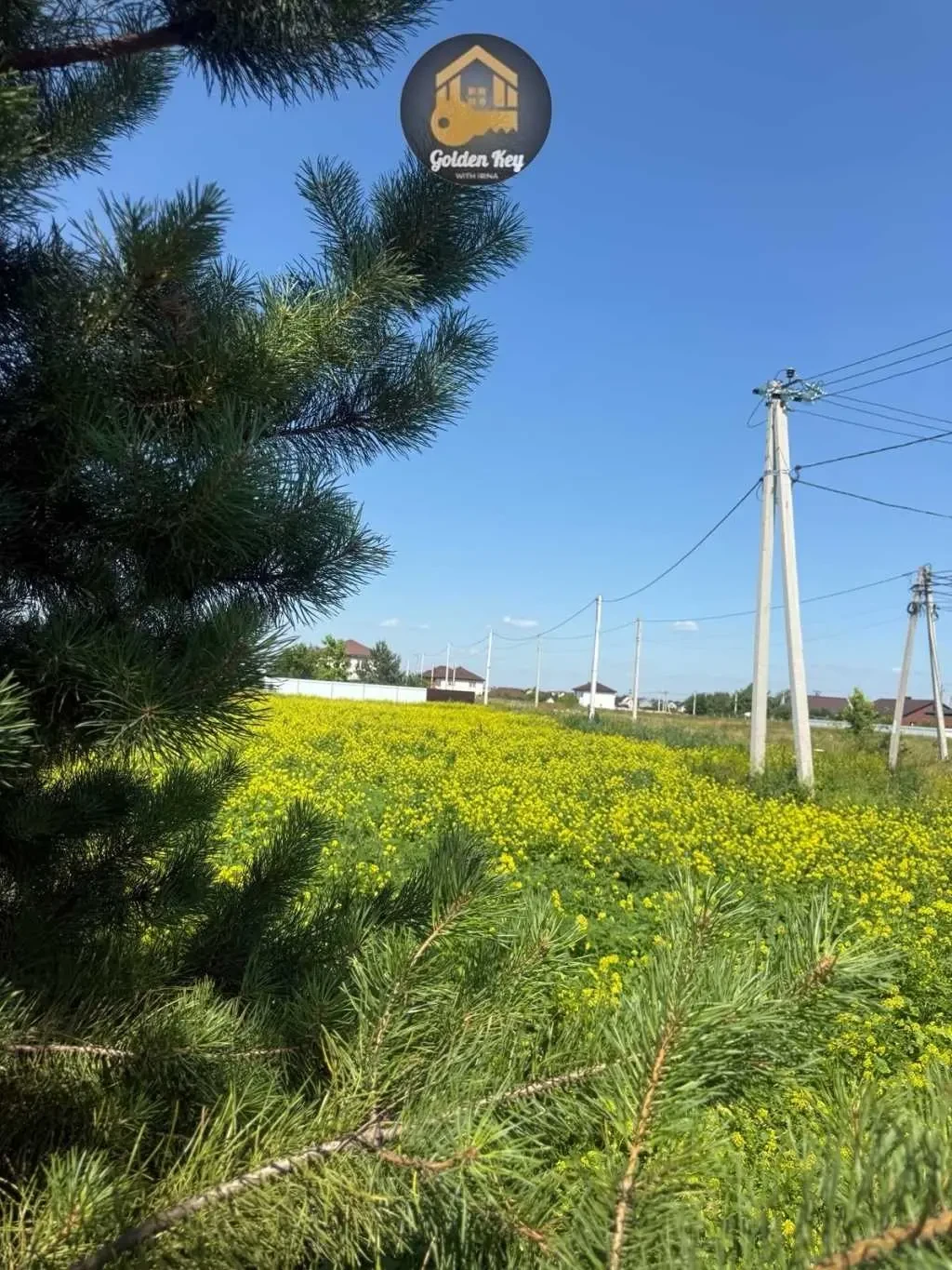 ділянка під житлову забудову Бориспільський, Мала Олександрівка, Щас.. 6