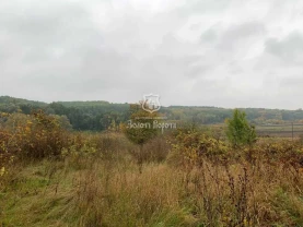 ділянка під житлову забудову Обухівський, Барахти, Віктора Бойка вул.