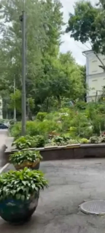 офісне приміщення Київ, Шевченківський, Гетьмана Павла Скоропадськог.. 14