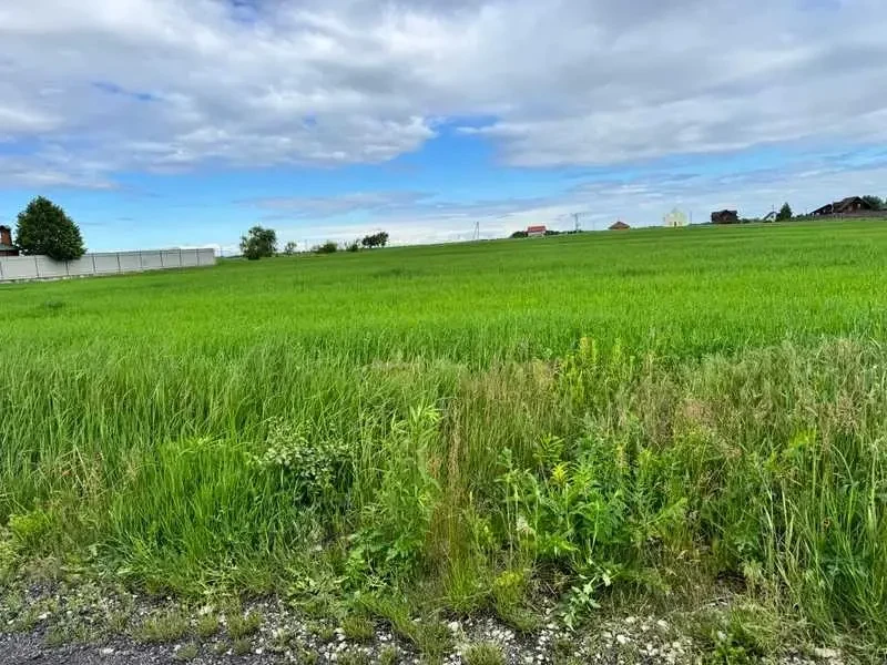 ділянка під житлову забудову Бориспільський, Велика Стариця, Нова 3