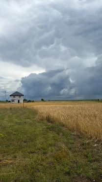 Продаж зем.-діл с. Керниця