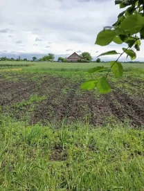 ділянка сільськогосподарського призначення Обухівський, Черняхів, Пе..