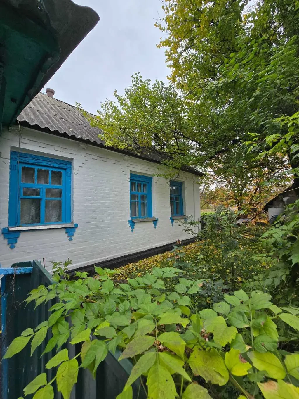 2-к будинок Білоцерківський, Троїцьке, Центральна 1 2