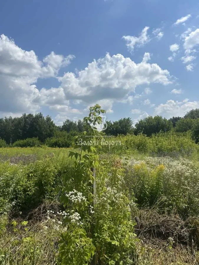 ділянка під житлову забудову Обухівський, Погреби, Молодіжна вул. 5