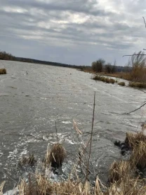 ділянка під житлову забудову Білоцерківський, Рокитне, лісова