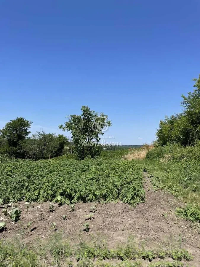ділянка під житлову забудову Обухівський, Барахти, Підгірна вул. 3