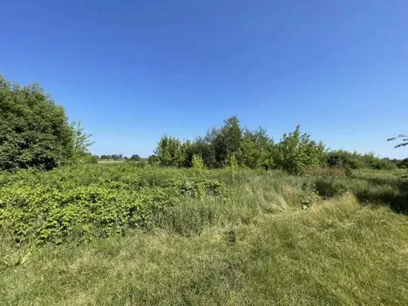 ділянка сільськогосподарського призначення Броварський, Пухівка, Пас.. 6