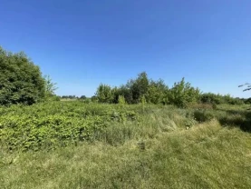 ділянка сільськогосподарського призначення Броварський, Пухівка, Пас..