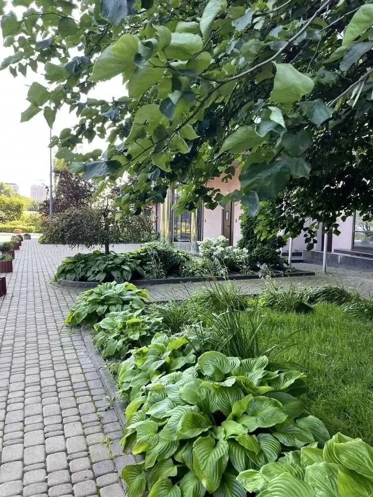 2-к квартира Київ, Шевченківський, Дегтярівська 25а 15