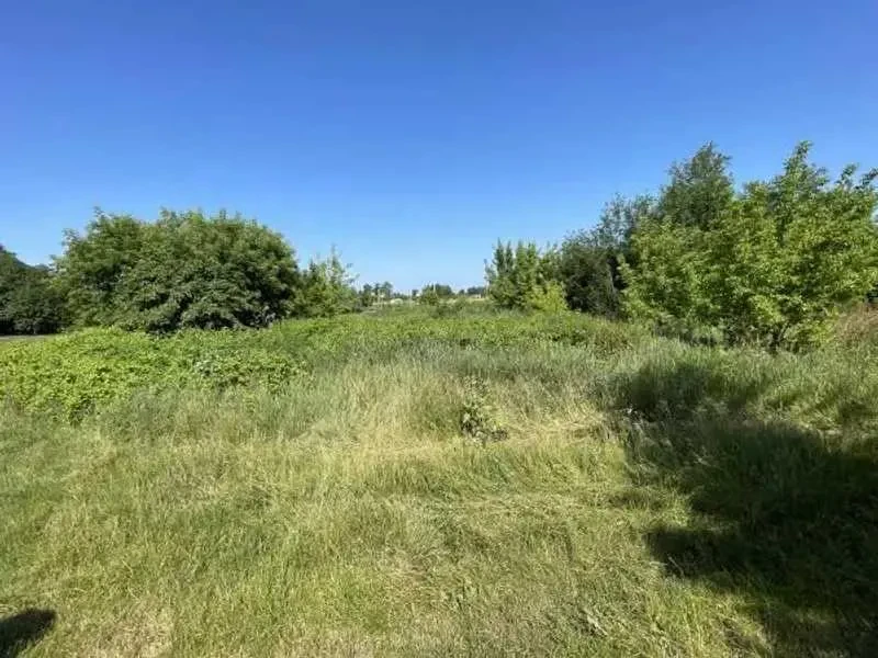 ділянка сільськогосподарського призначення Броварський, Пухівка, Пас.. 4