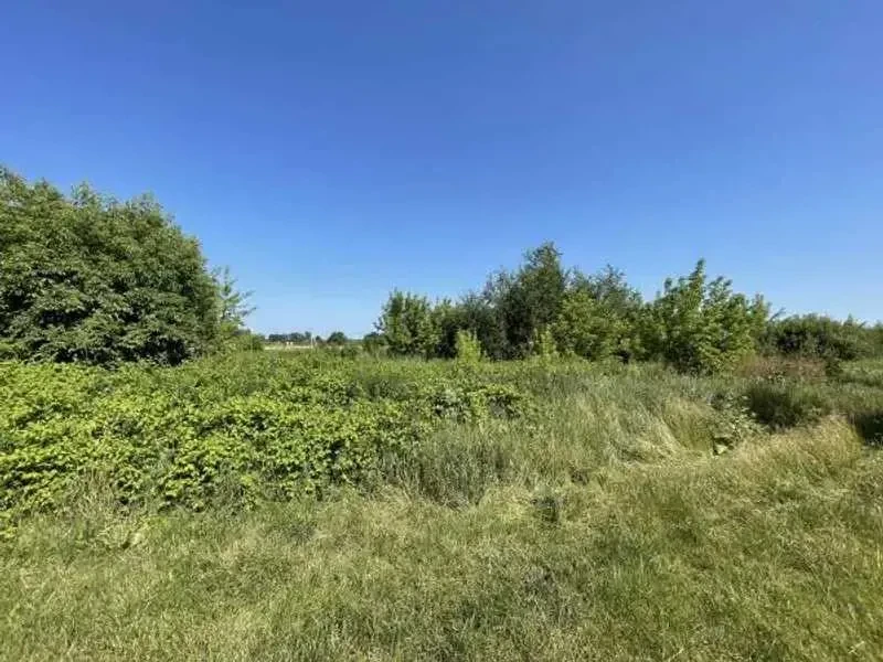 ділянка сільськогосподарського призначення Броварський, Пухівка, Пас.. 5