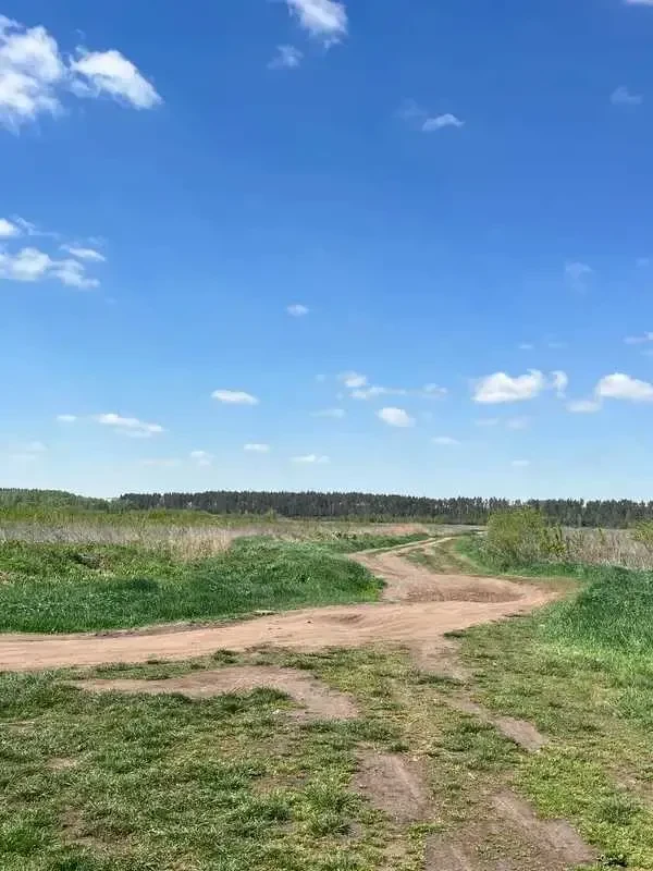 ділянка сільськогосподарського призначення Бучанський, Озера, Нова 2