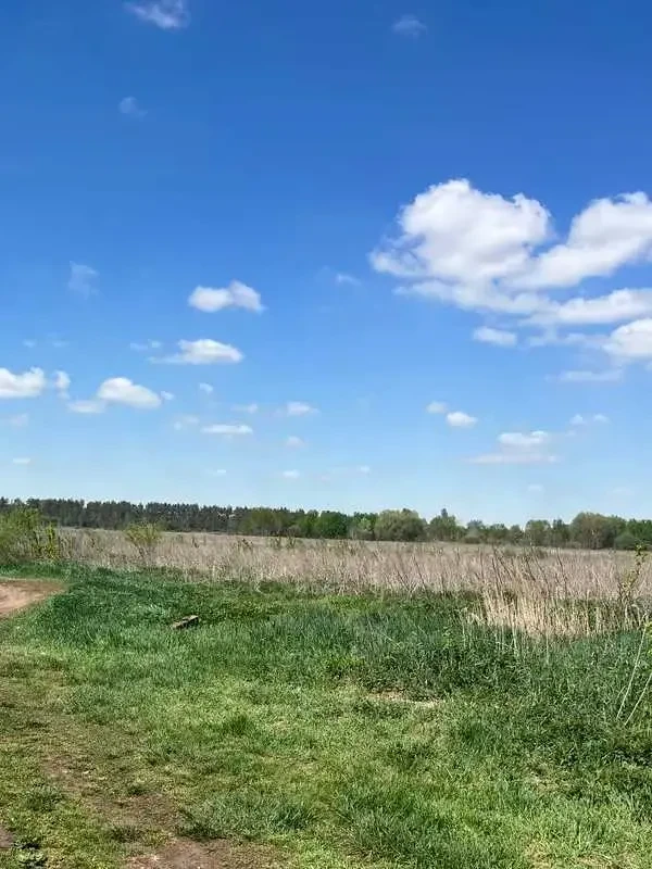 ділянка сільськогосподарського призначення Бучанський, Озера, Нова