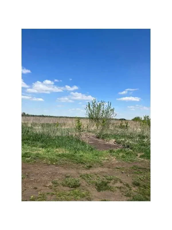 ділянка сільськогосподарського призначення Бучанський, Озера, Нова 11