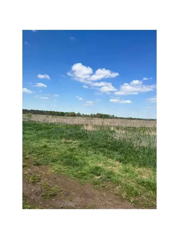 ділянка сільськогосподарського призначення Бучанський, Озера, Нова 4