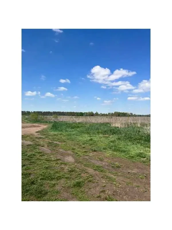 ділянка сільськогосподарського призначення Бучанський, Озера, Нова 5