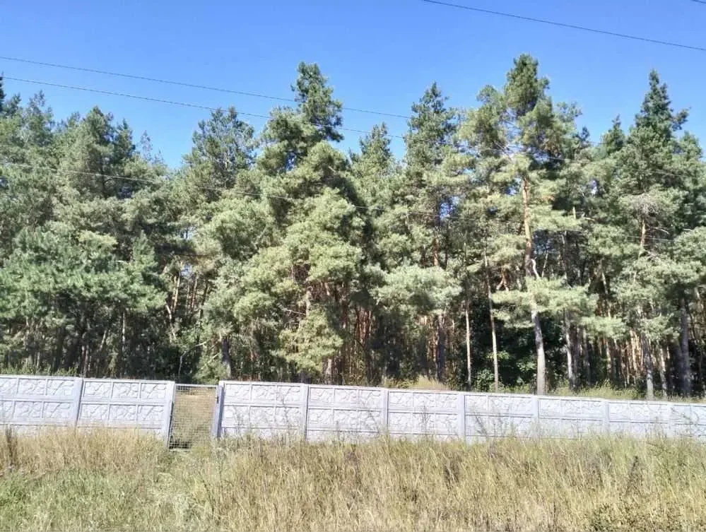 2-к будинок Білоцерківський, Томилівка, Лісова 2