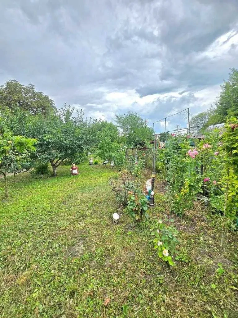 2-к квартира Білоцерківський, Пшеничне, Леніна 16
