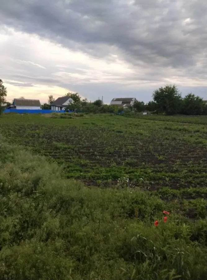 ділянка під житлову забудову Білоцерківський, Ольшаниця, шевченко 2