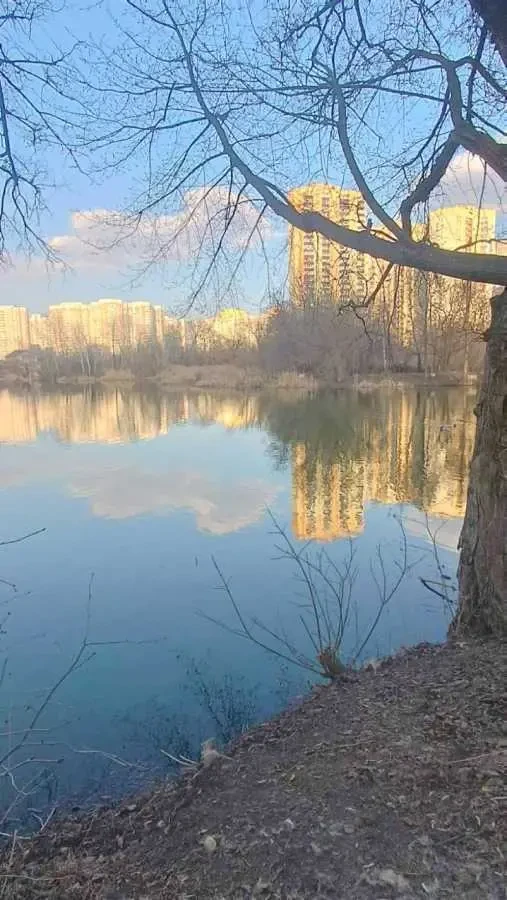 1-к квартира Київ, Дарницький, Урлівська 38а 14