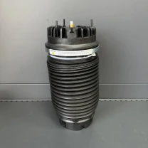 Пневмопідвіска задня Dodge RAM 1500 L 19-22 68260938AA