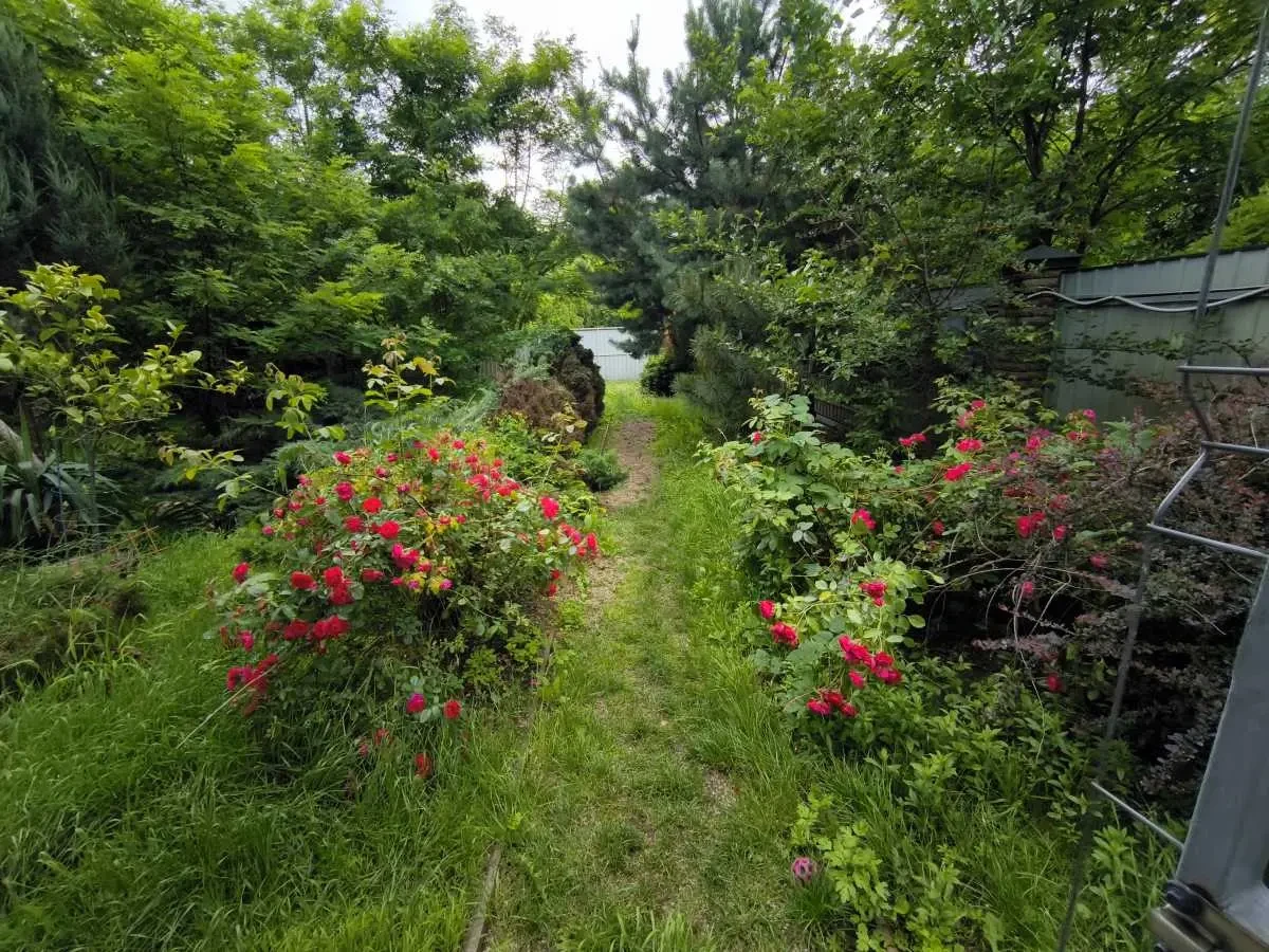 5-к будинок Київ, Дніпровський, 2 Садовий 5