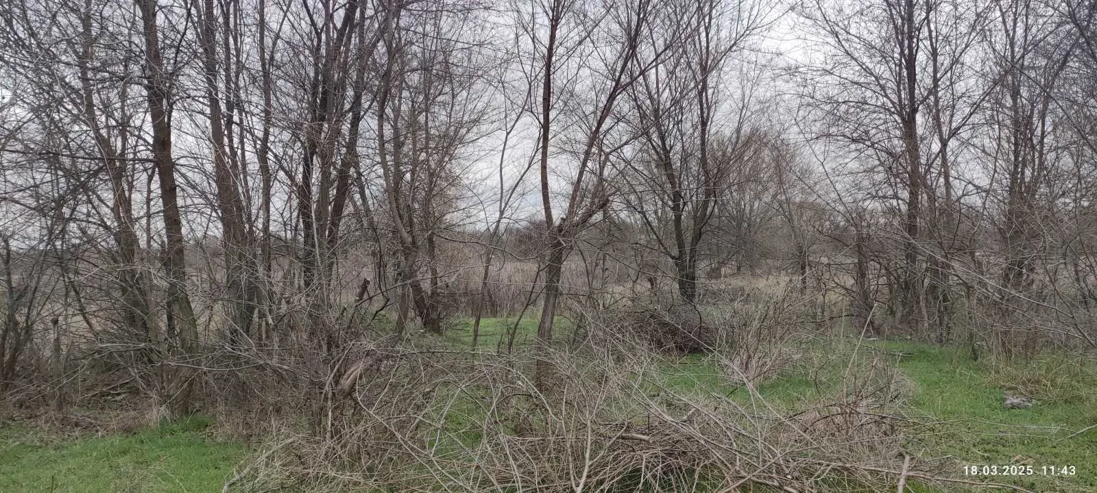 ділянка під житлову забудову Запоріжжя, Дніпровський, вул. Адм. Мака.. 2