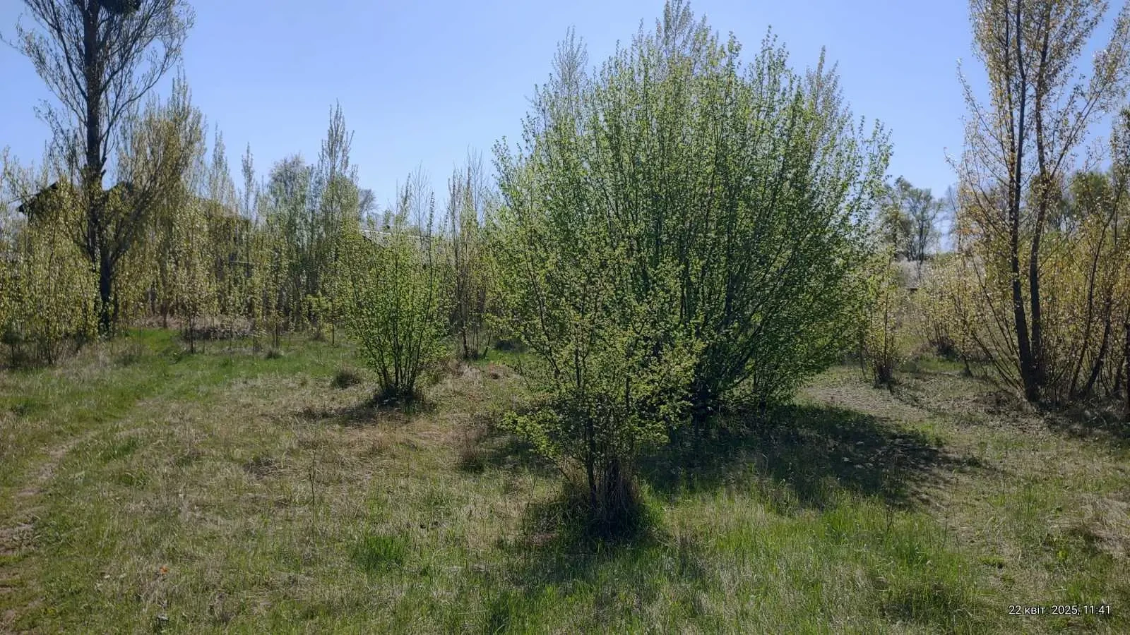 ділянка під житлову забудову Київ, Деснянський, Вірності 14