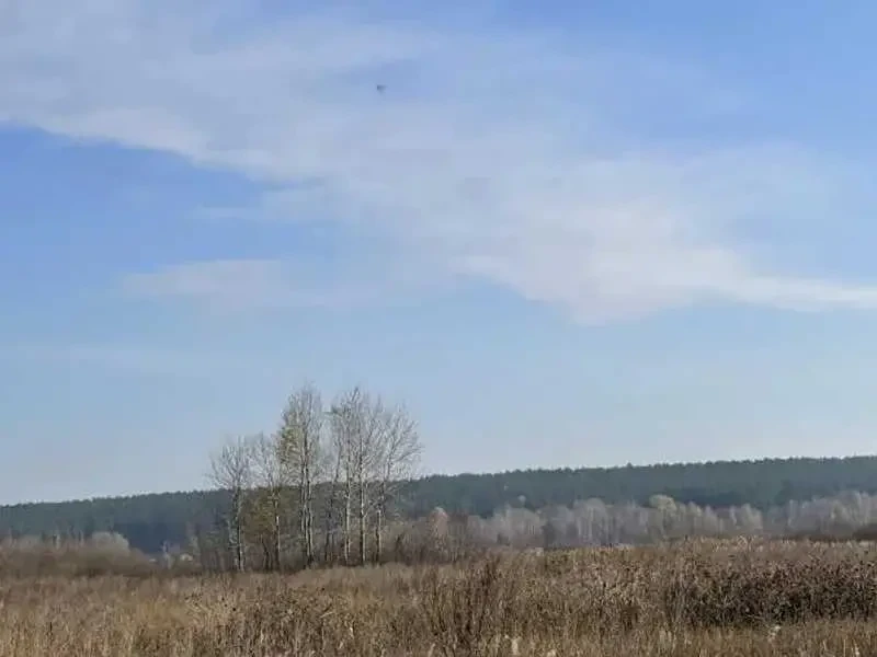 ділянка сільськогосподарського призначення Броварський, Пухівка, Нова 2