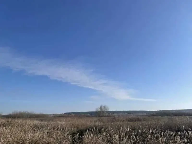 ділянка сільськогосподарського призначення Броварський, Пухівка, Нова