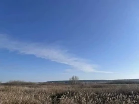 ділянка сільськогосподарського призначення Броварський, Пухівка, Нова
