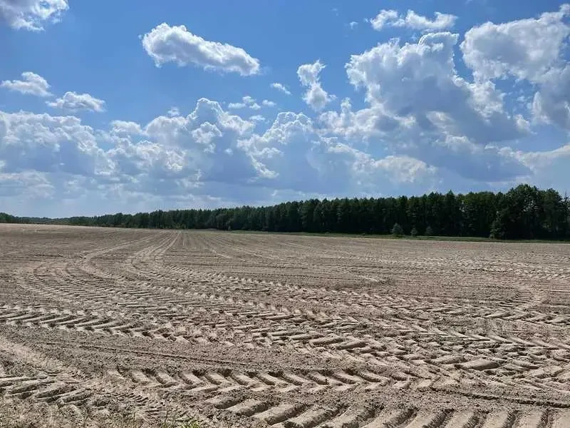 ділянка сільськогосподарського призначення Бучанський, Мар`янівка, Н.. 3