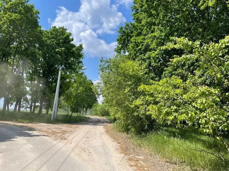 ділянка сільськогосподарського призначення Бучанський, Мар`янівка, Н.. 5