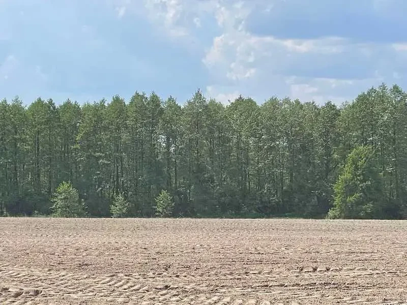 ділянка сільськогосподарського призначення Бучанський, Мар`янівка, Н..