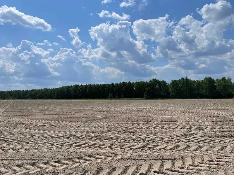 ділянка сільськогосподарського призначення Бучанський, Мар`янівка, Н.. 4