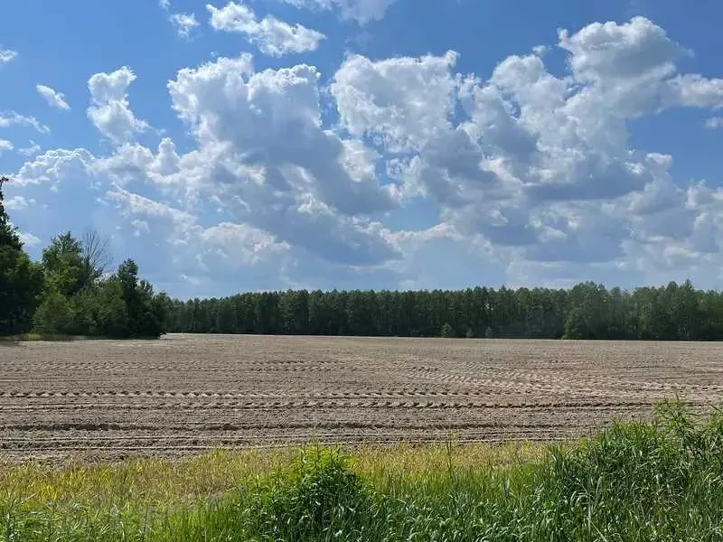 ділянка сільськогосподарського призначення Бучанський, Мар`янівка, Н.. 2
