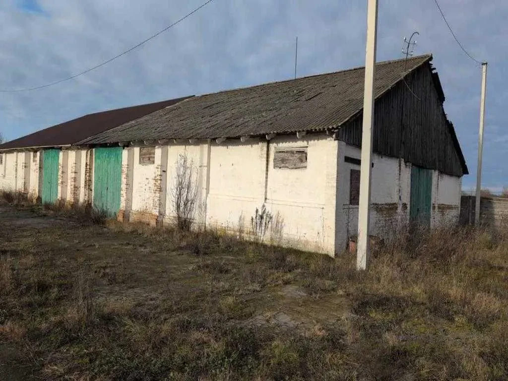 склади Володимирецький, Любахи, Вишнева 58а 2