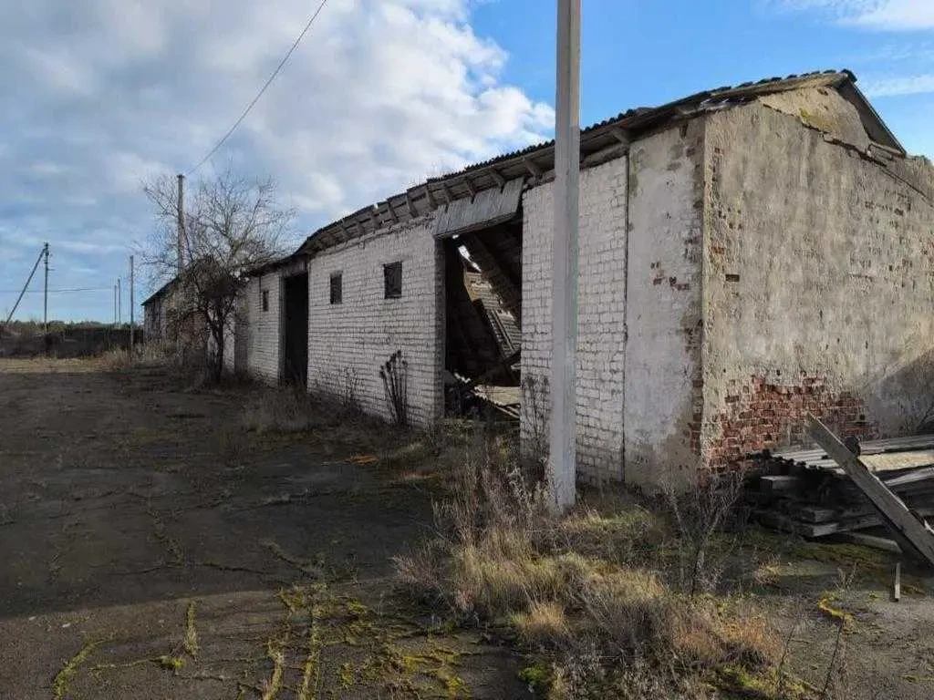 склади Володимирецький, Любахи, Вишнева 58а 3