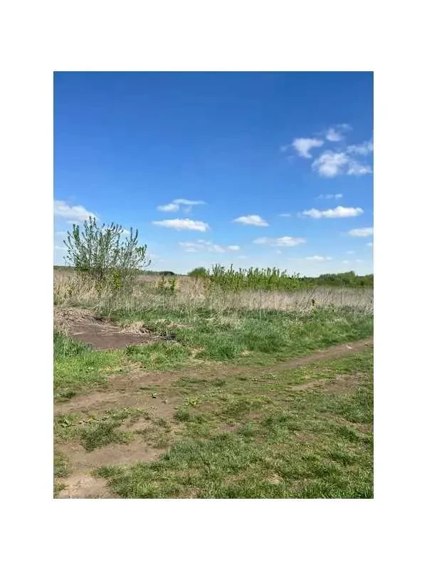 ділянка сільськогосподарського призначення Бучанський, Озера, Нова 3