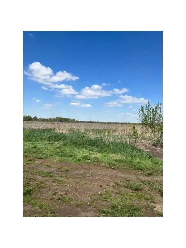 ділянка сільськогосподарського призначення Бучанський, Озера, Нова 7