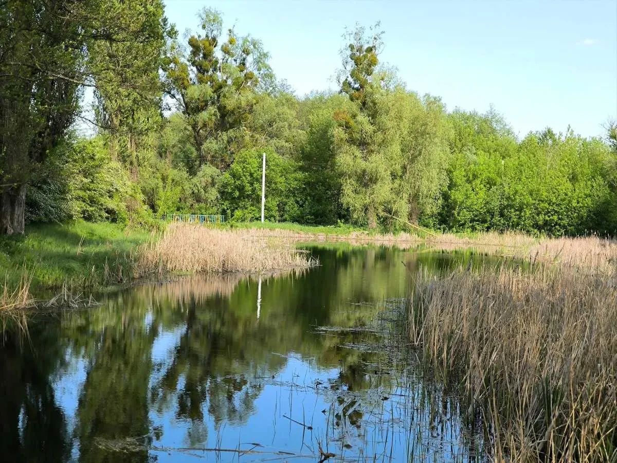 1-к будинок Фастівський, Осикове, Польова 22