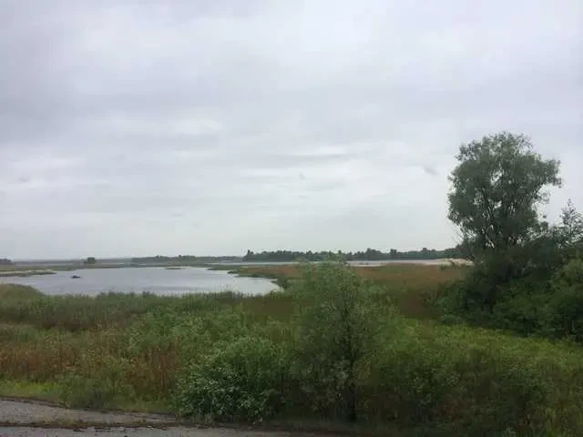 ділянка під житлову забудову Бориспільський, Проців, Центральна 4