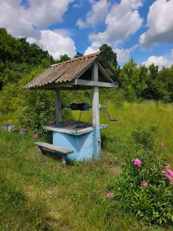2-к будинок Обухівський, Велика Вільшанка, Мостова 12 10