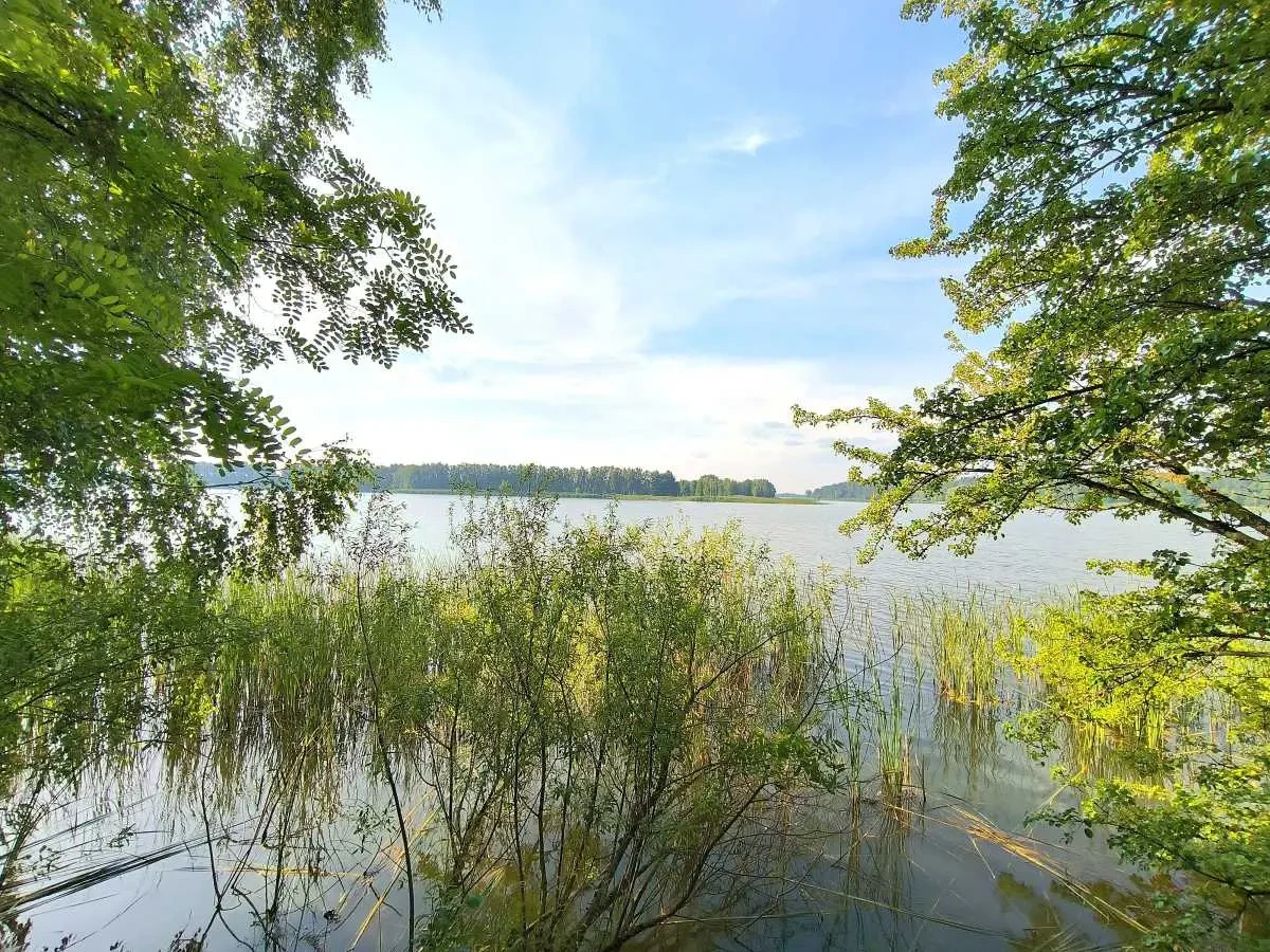 ділянка під житлову забудову Бучанський, Маковище, Молодіжна 15