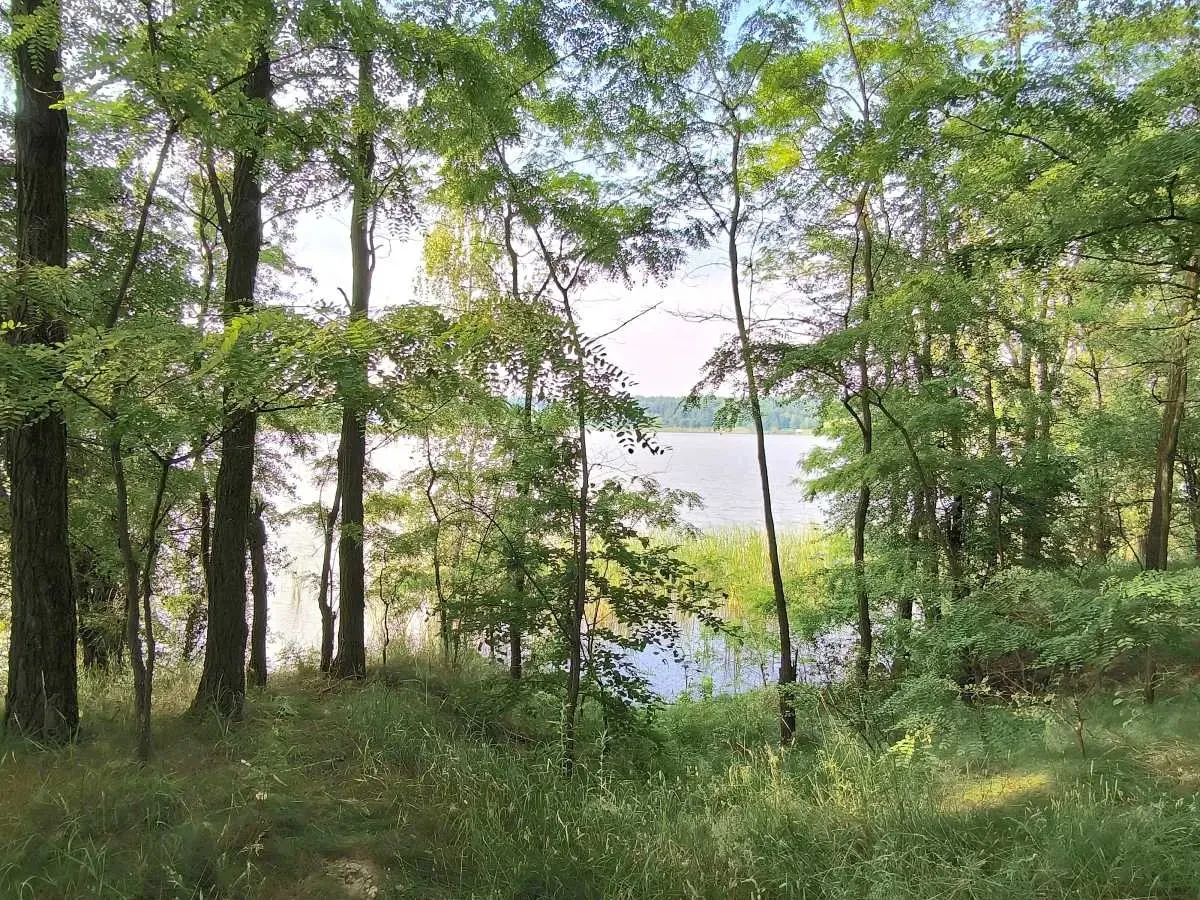 ділянка під житлову забудову Бучанський, Маковище, Молодіжна 19