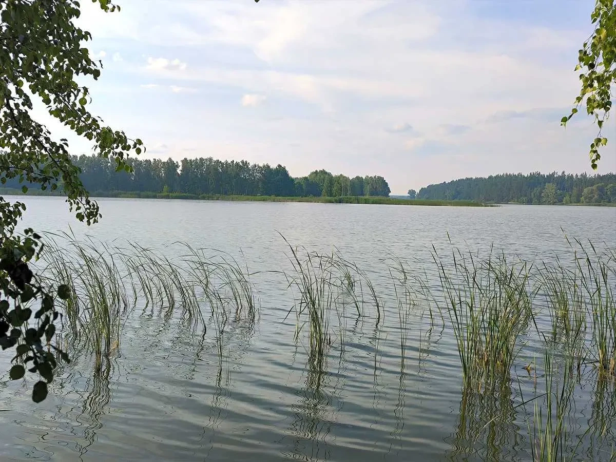 ділянка під житлову забудову Бучанський, Маковище, Молодіжна 17