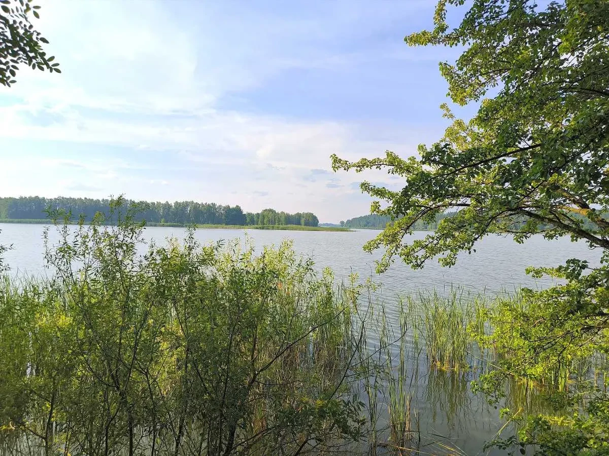 ділянка під житлову забудову Бучанський, Маковище, Молодіжна 16