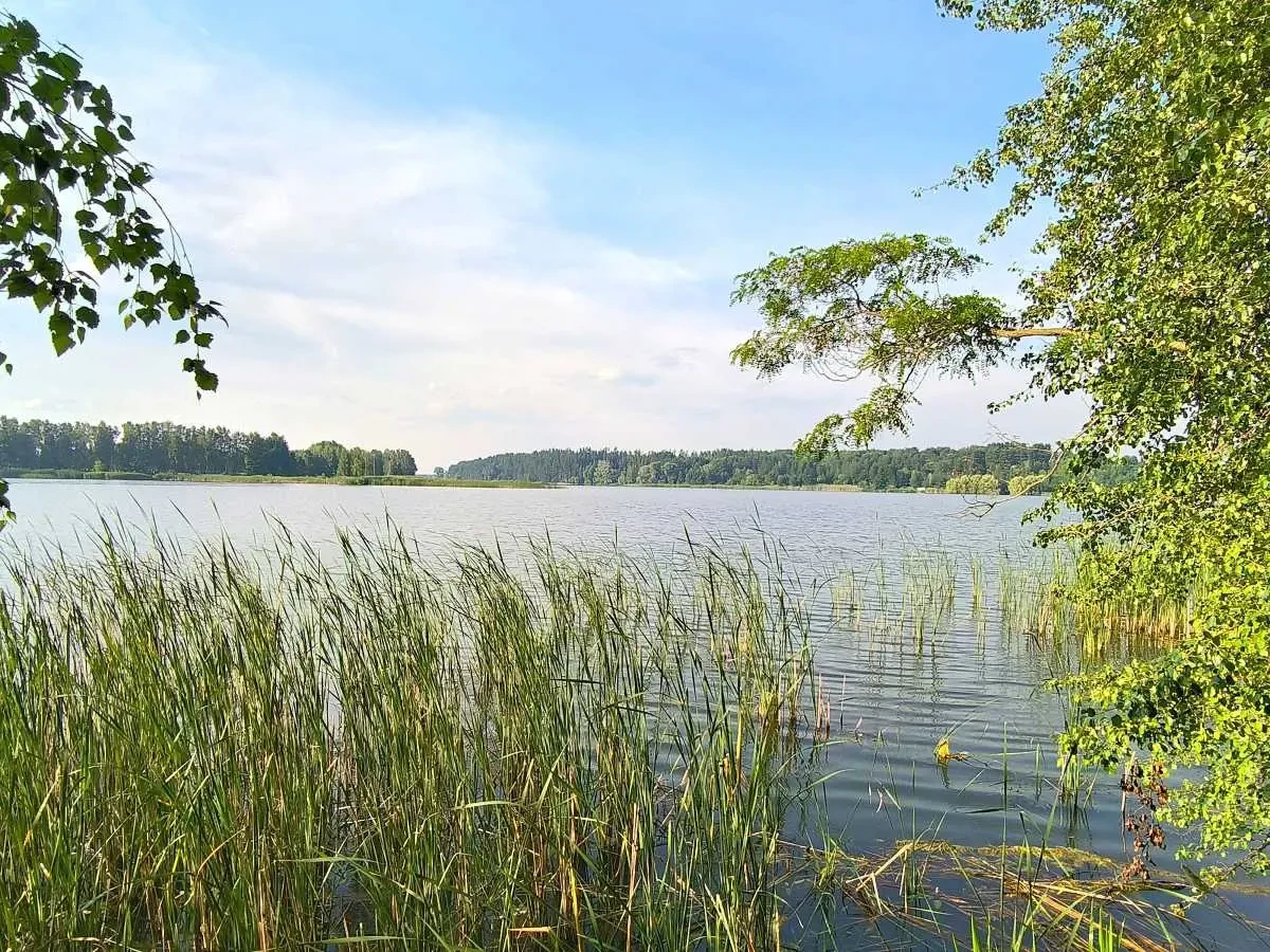 ділянка під житлову забудову Бучанський, Маковище, Молодіжна 18