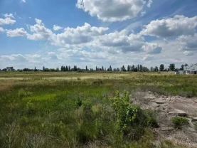 ділянка під житлову забудову Бориспільський, Велика Олександрівка, Н..